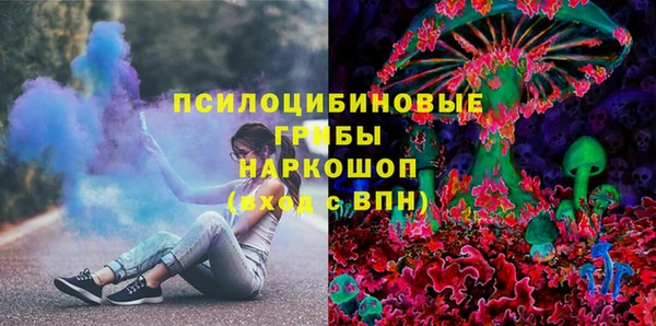 PSILOCYBIN Заволжье