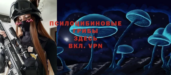 гидропоника Белокуриха