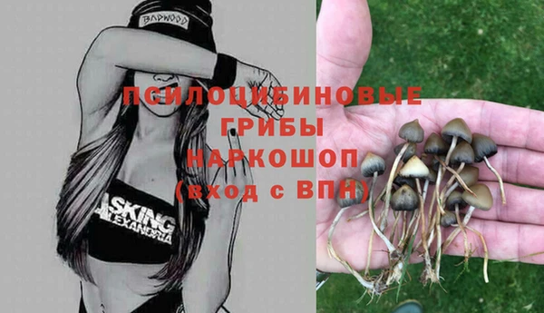 гидропоника Белокуриха