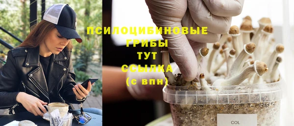 каннабис Беломорск