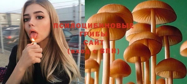 гидропоника Белокуриха
