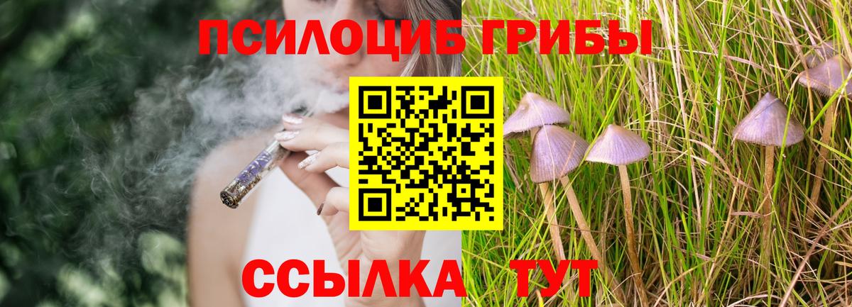 Валуйки  Галлюциногенные грибы GOLDEN TEACHER  Вход с VPN  Галлюциногенные грибы мухоморы 