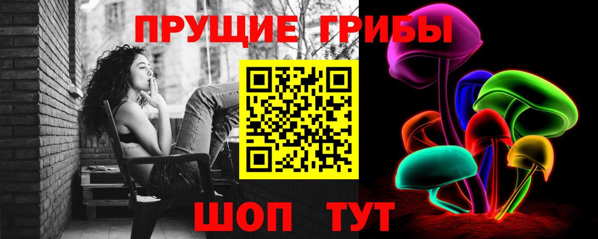 Галлюциногенные грибы Psilocybe  Валуйки 